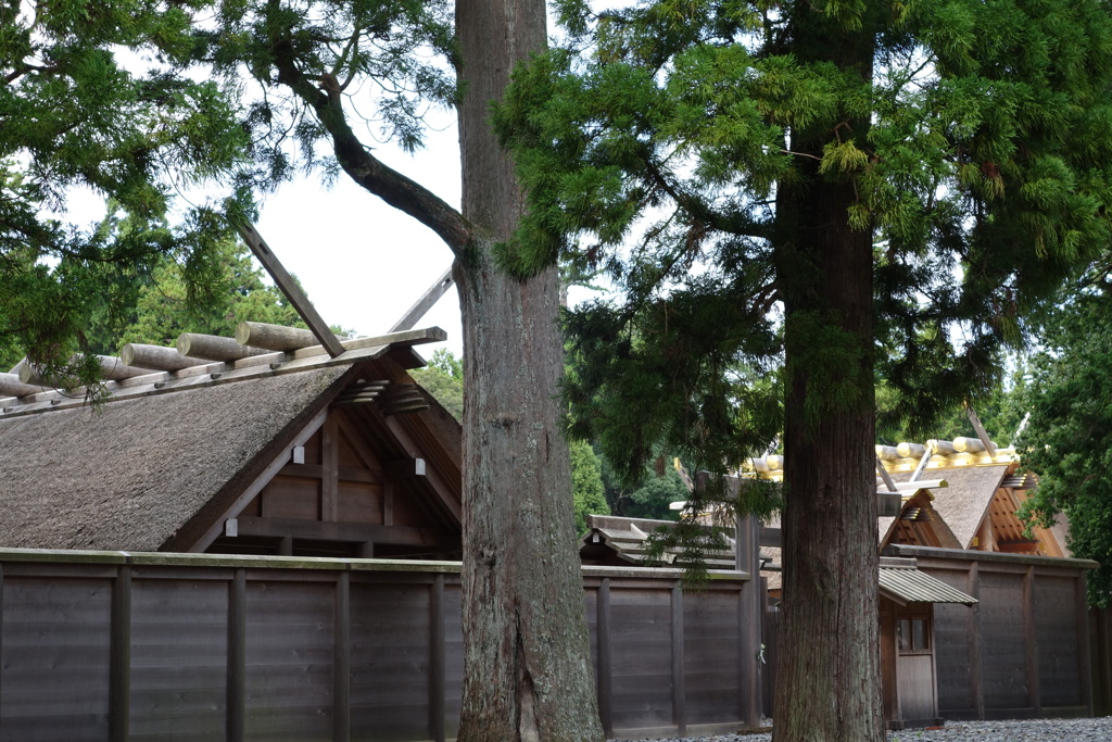 伊勢神宮にて