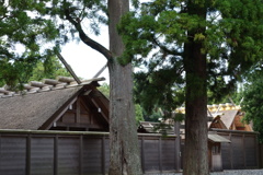 伊勢神宮にて