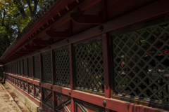 根津神社にて