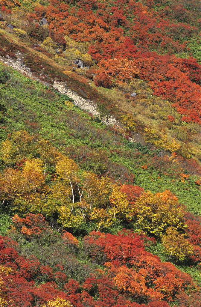 北海道にて