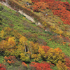 北海道にて