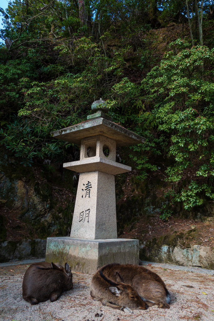 厳島神社にて