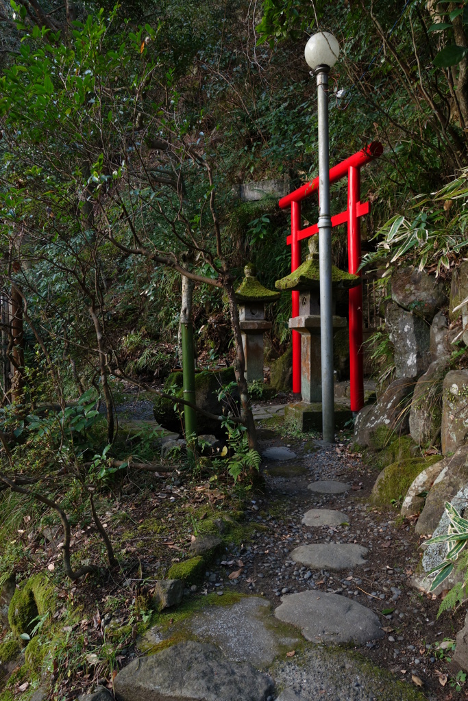 箱根にて