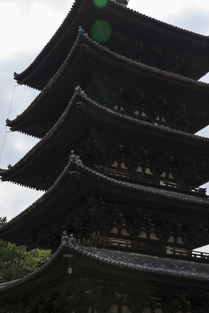 興福寺にて