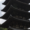 興福寺にて