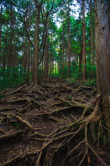 箱根にて