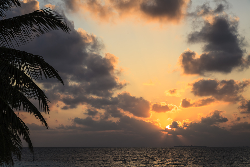 モルディブにて