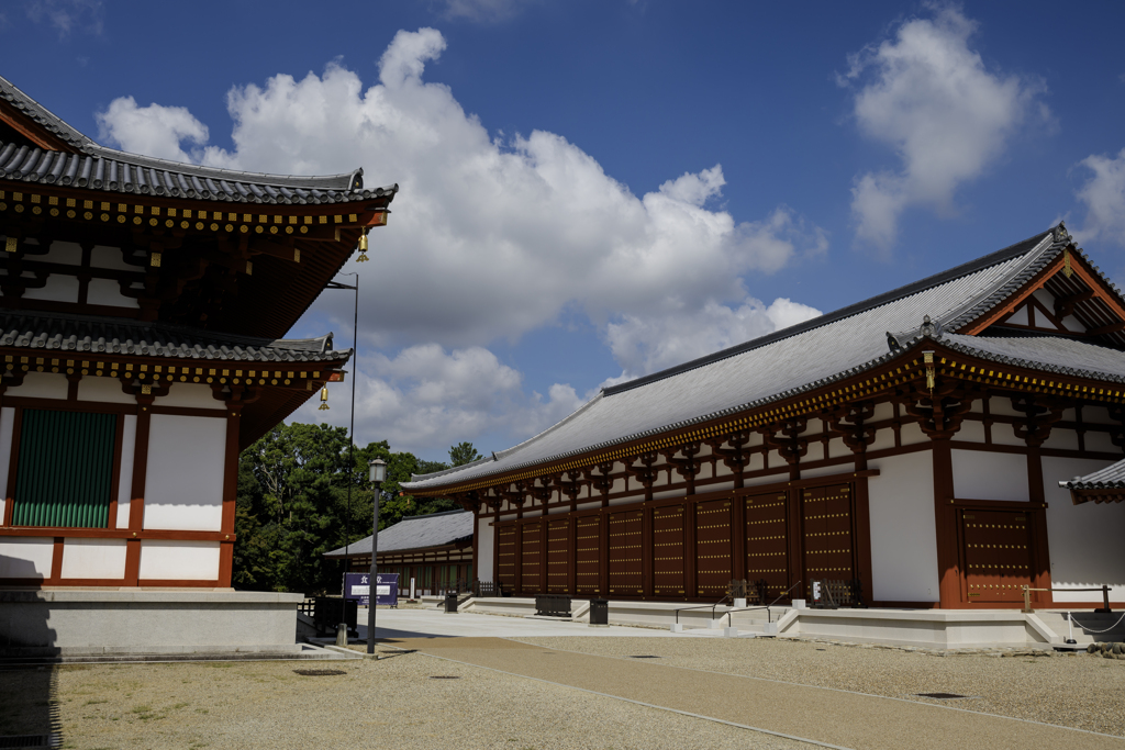 薬師寺にて