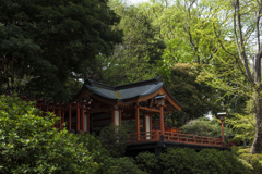 根津神社にて