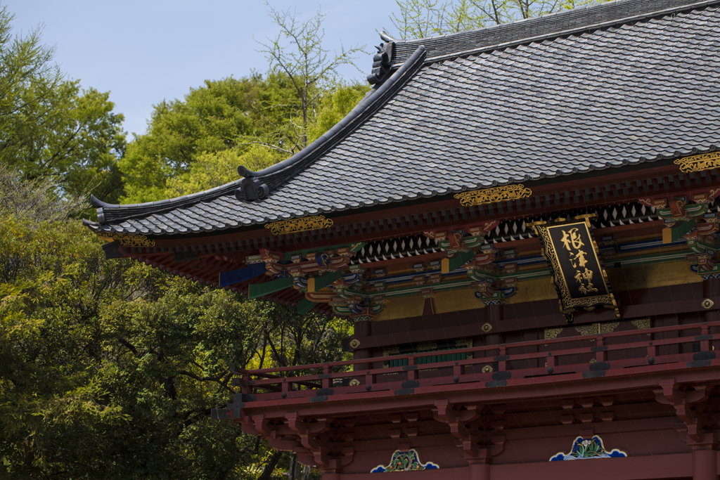 根津神社にて