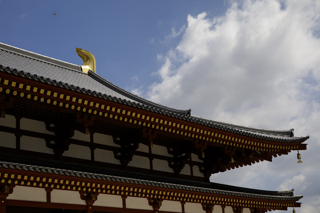 薬師寺にて