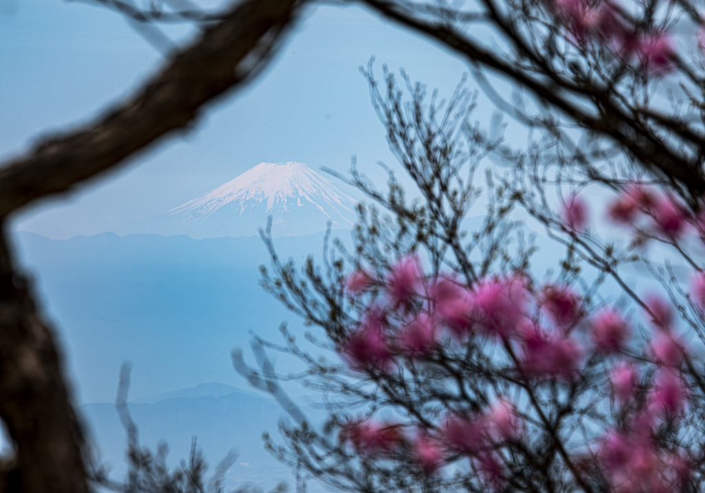 気になる山