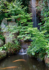 庭園の小滝