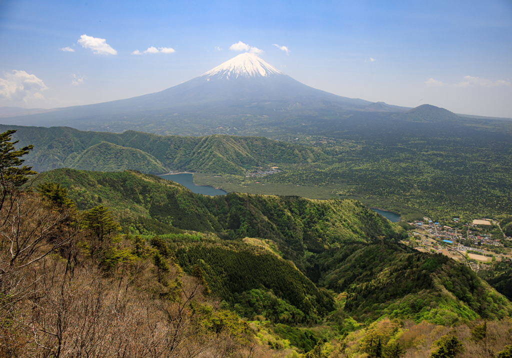 2021-5-9 雪頭ヶ岳-4878