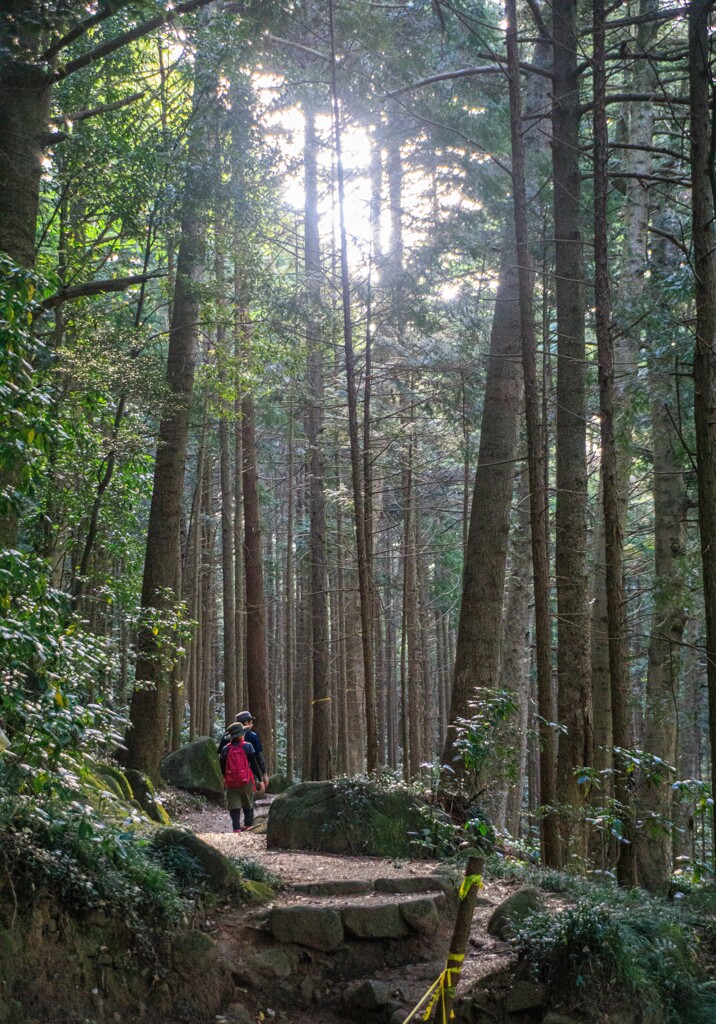 2019-5-18筑波山-先行者