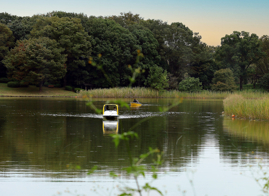 平和という日常
