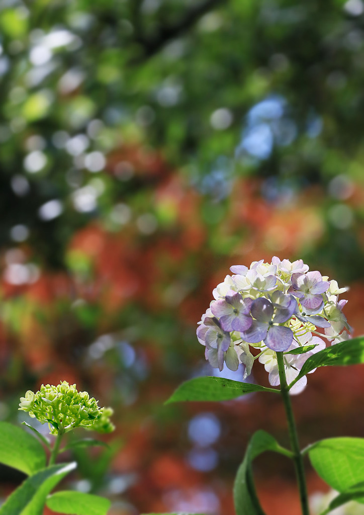 今年も撮ってくれてありがとう