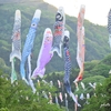 山間を彩る