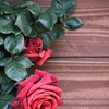 wall　rose