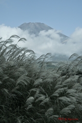 十里木高原より