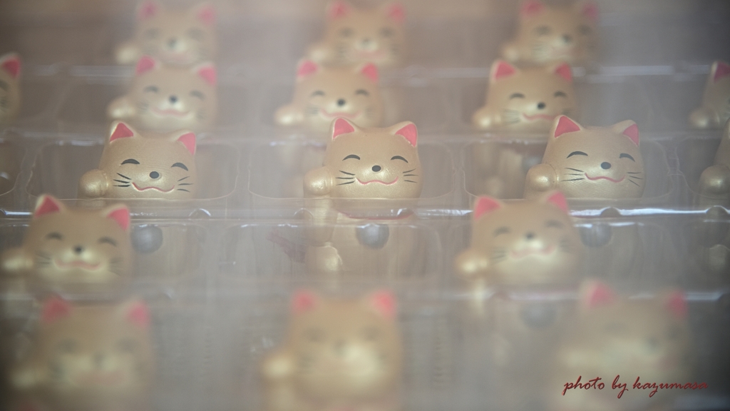 負けたぜ、この猫どもめ