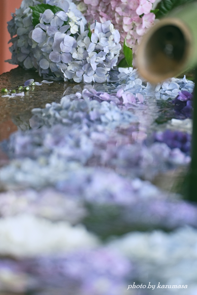 花手水