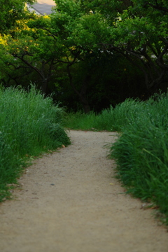 道