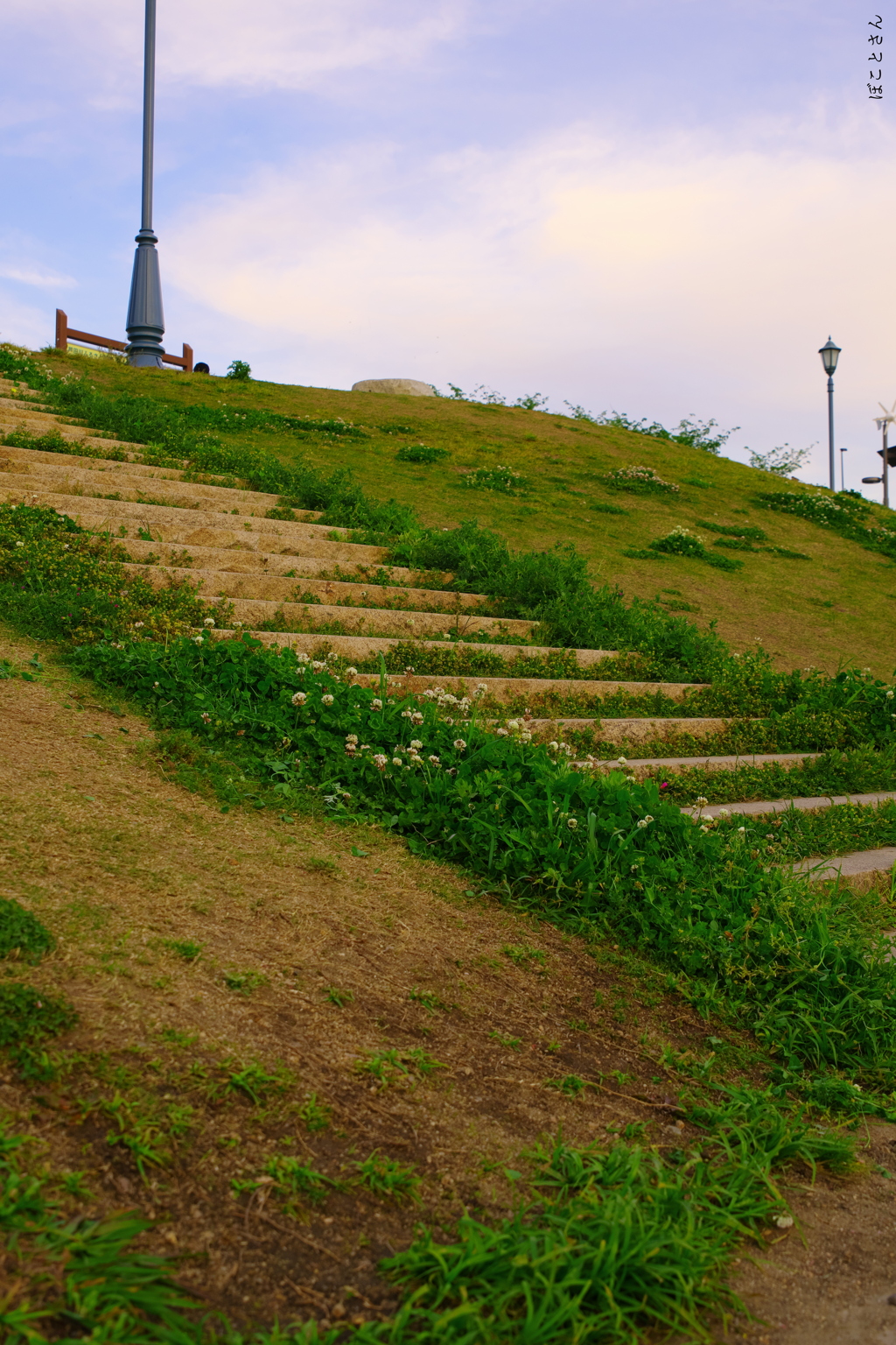 野坂
