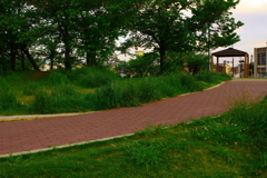 野