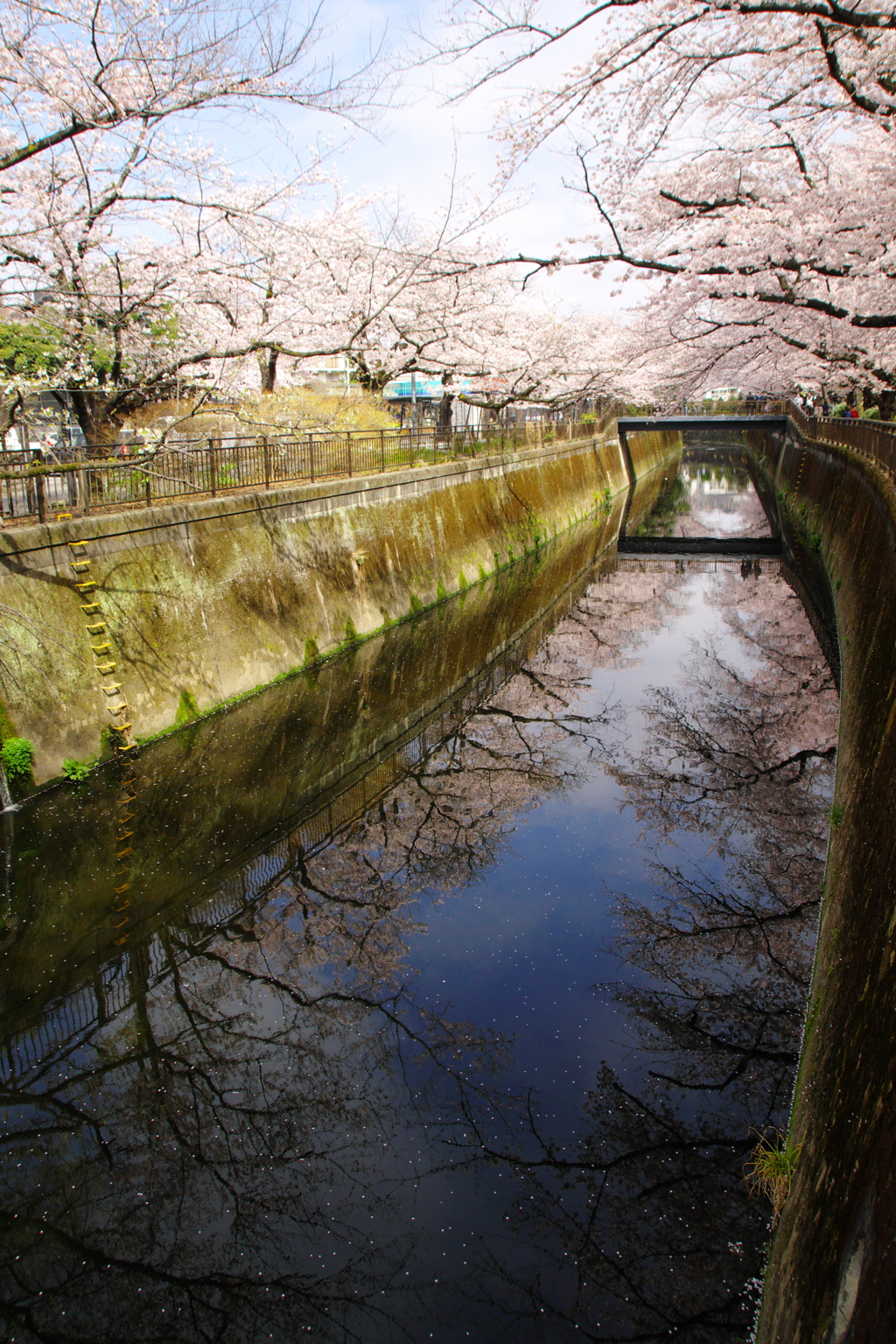 天の川に見えます？