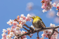 明日を見据えて