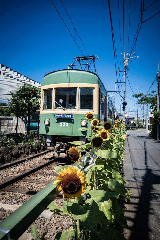 本日の江ノ島 その5