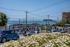 初夏の江の島