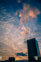 秋空