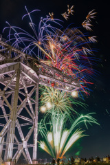 ナイトフラワーズ