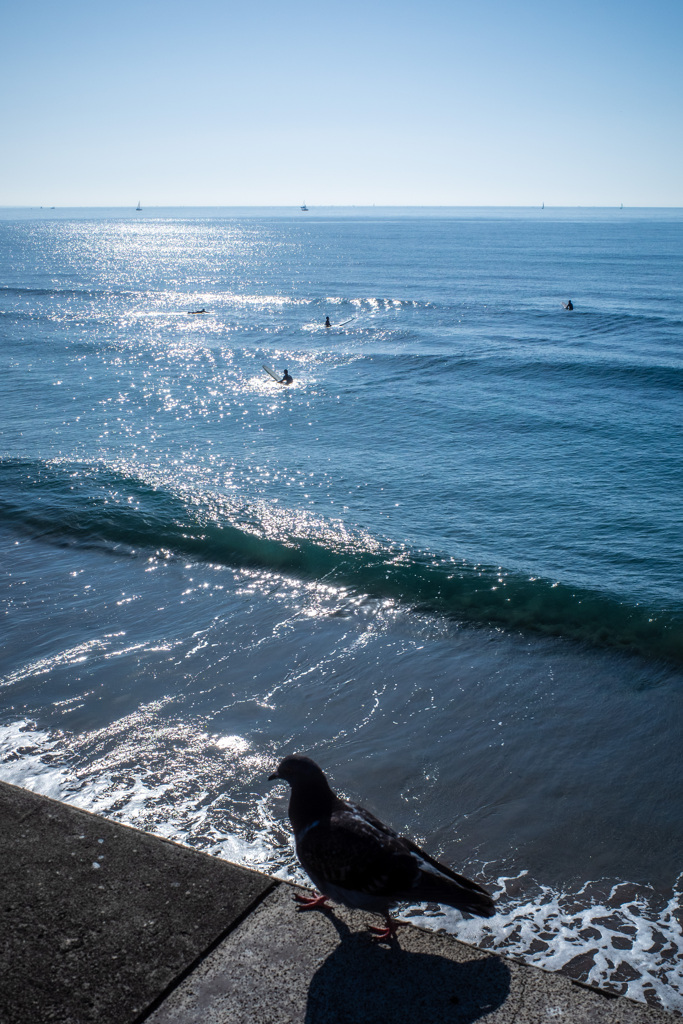 はい、ちょっとお邪魔しますね