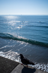 はい、ちょっとお邪魔しますね