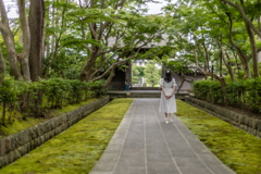 苔むす寺