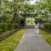 苔むす寺