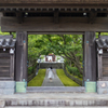 苔むす寺