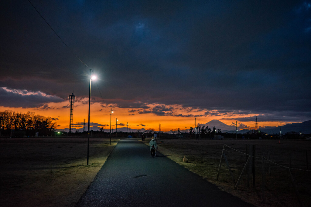 夕暮れの散歩道