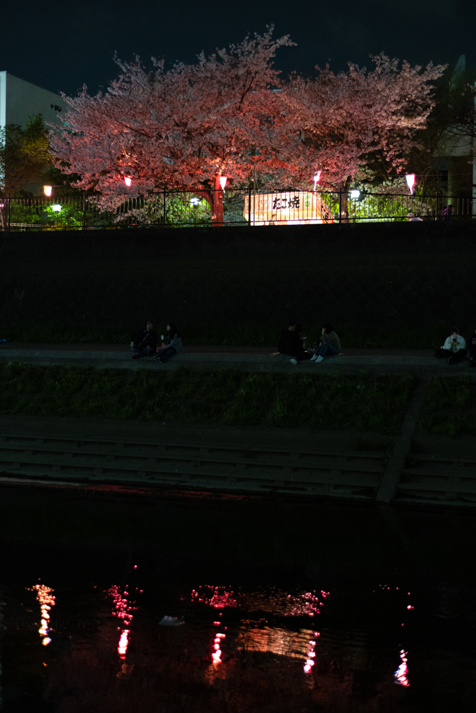 それぞれの花見