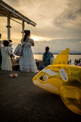シャッチーの見る海