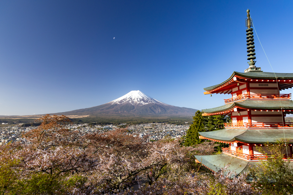 念願の。。。