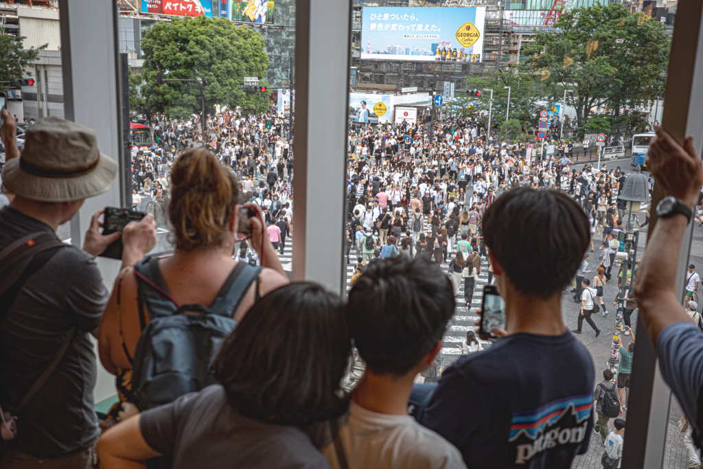 Oh, this IS Shibuya Crossing!