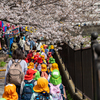 桜の下を仲良く