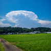 夏雲