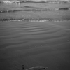 流れる