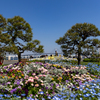 春 歌う