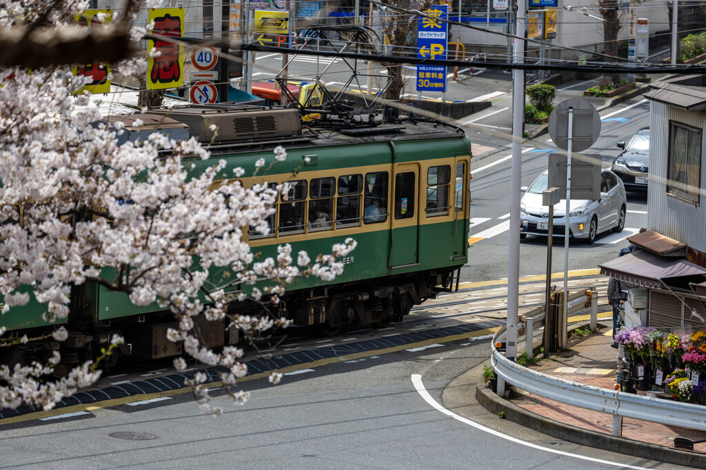花と江ノ電